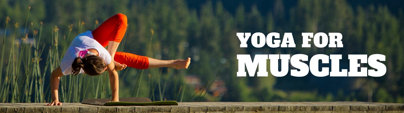 yoga for muscle building
