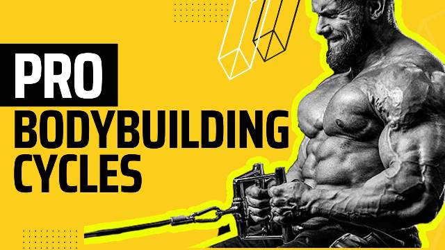 Pro Bodybuilding Cycles