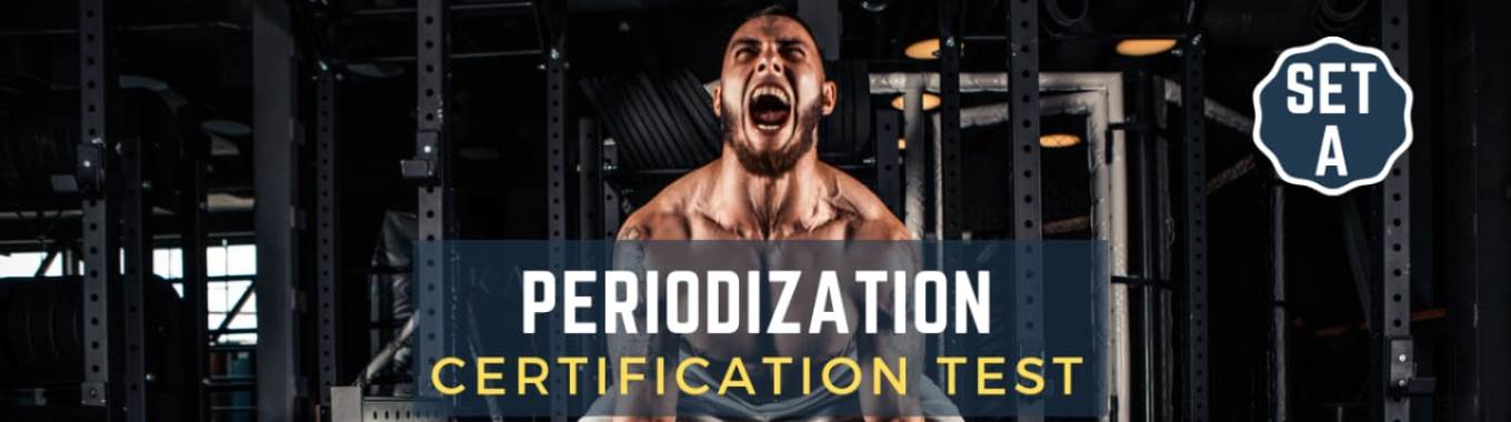 Periodization