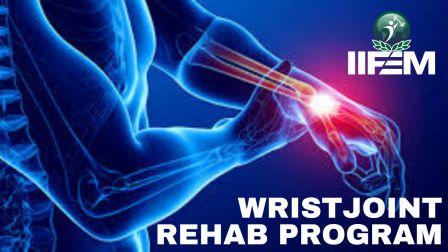 wrist joint rehab program